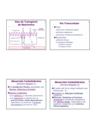 Vías de Transporte                                                                  45

                                                                                                            Vía Transcelular
                                                                                                                                             46


             de Nutrientes
                                                                                                     Pasos
                        Vía Paracelular




                                                      Vía Transcelular
                                                                                   LUZ DEL
    Microvellosidades
                                                                         Membrana
                                                                          Apical
                                                                                  INTESTINO           ! Atravesar membrana apical
                                                                                                      ! Difusión citoplasma
                                                                                                      ! Atravesar membrana basolateral

 Complejos de Unión                                                              ENTEROCITO          Mecanismos
Membrana Basolateral
                                                                                                      !   Difusión Pasiva
                                                                                                      !   Transporte Mediado
                                                                                                          " Difusión Facilitada
                                          Espacio Intercelular
                                                                                                          " Transporte Activo
                               SANGRE




    Absorción Carbohidratos                                                                   47
                                                                                                    Absorción Carbohidratos
                                                                                                                                             48


              (intestino delgado) (1)                                                                        (intestino delgado) (2)
Los productos finales absorbidos son:
                                                                                                   El sodio sale de la célula mediante una
Glucosa, Galactosa y Fructosa
                                                                                                   ATPasa Na+- K+.
Glucosa y Galactosa:                                                                               Fructosa por difusión facilitada
! Los isómeros L se absorben pasivamente                                                           (gradiente)
! Los isómeros D se absorben por un
                                                                                                   Glucosa, Galatosa y Fructosa
  proceso activo (Sodio dependiente),                                                              atraviesan la membrana basolateral
  ingresando a la célula por el gradiente                                                          por difusión simple, ingresando a los
  electroquímico (generado por sodio).                                                             capilares sanguíneos y al sistema
                                                                                                   Porta-hepático.
 