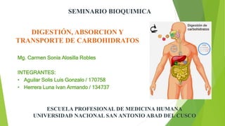 DIGESTIÓN, ABSORCION Y
TRANSPORTE DE CARBOHIDRATOS
Mg. Carmen Sonia Alosilla Robles
INTEGRANTES:
• Aguilar Solis Luis Gonz...