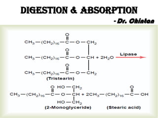 Digestion & Absorption
- Dr. Chintan
 