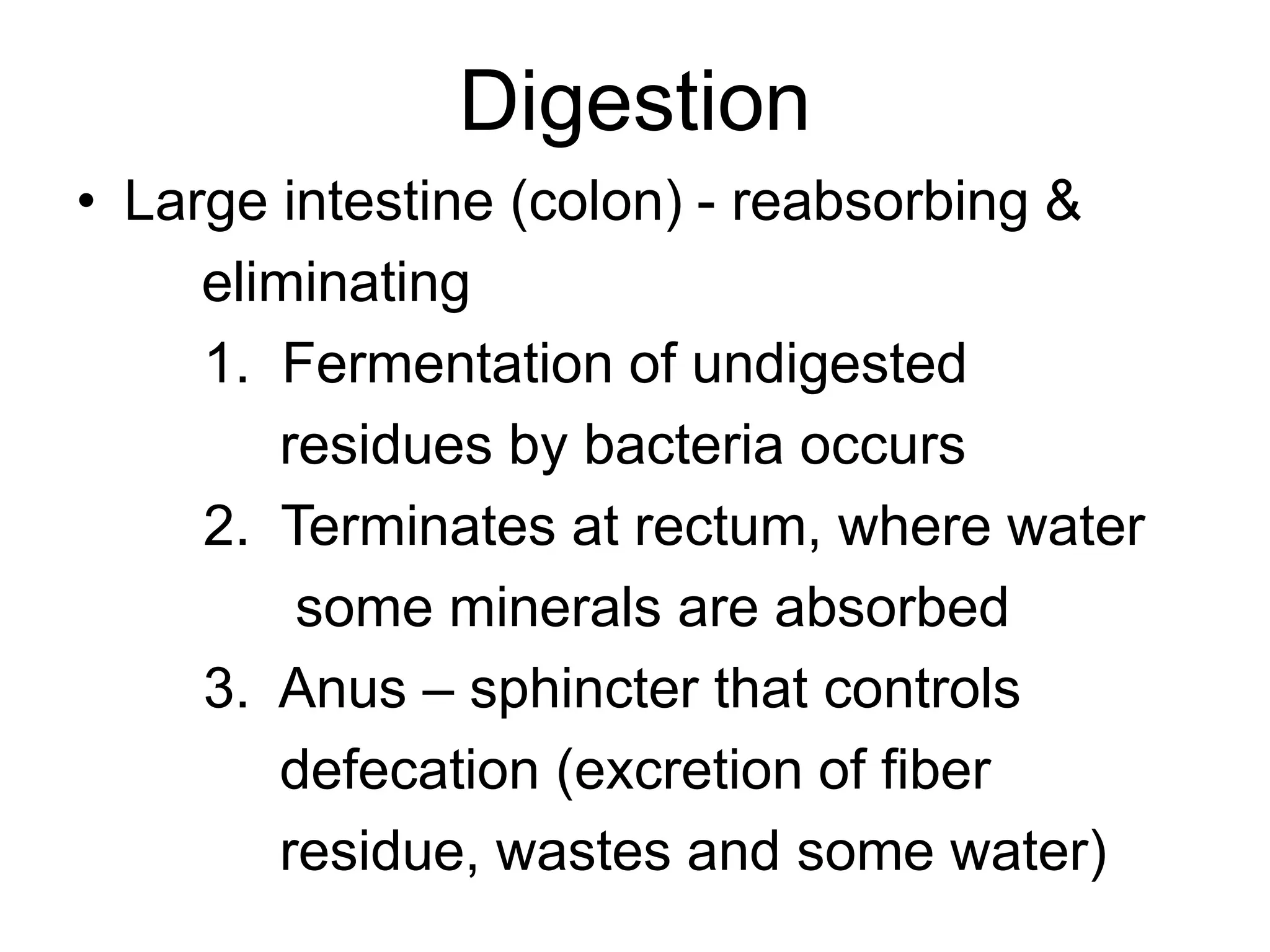Digestion
• Large intestine (colon) - reabsorbing &
eliminating
1. Fermentation of undigested
residues by bacteria occurs
2. Terminates at rectum, where water
some minerals are absorbed
3. Anus – sphincter that controls
defecation (excretion of fiber
residue, wastes and some water)
 