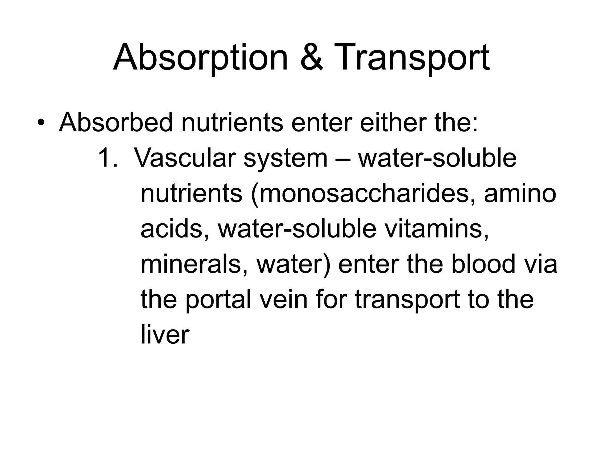 Absorption & Transport
• Absorbed nutrients enter either the:
1. Vascular system – water-soluble
nutrients (monosaccharides, amino
acids, water-soluble vitamins,
minerals, water) enter the blood via
the portal vein for transport to the
liver
 