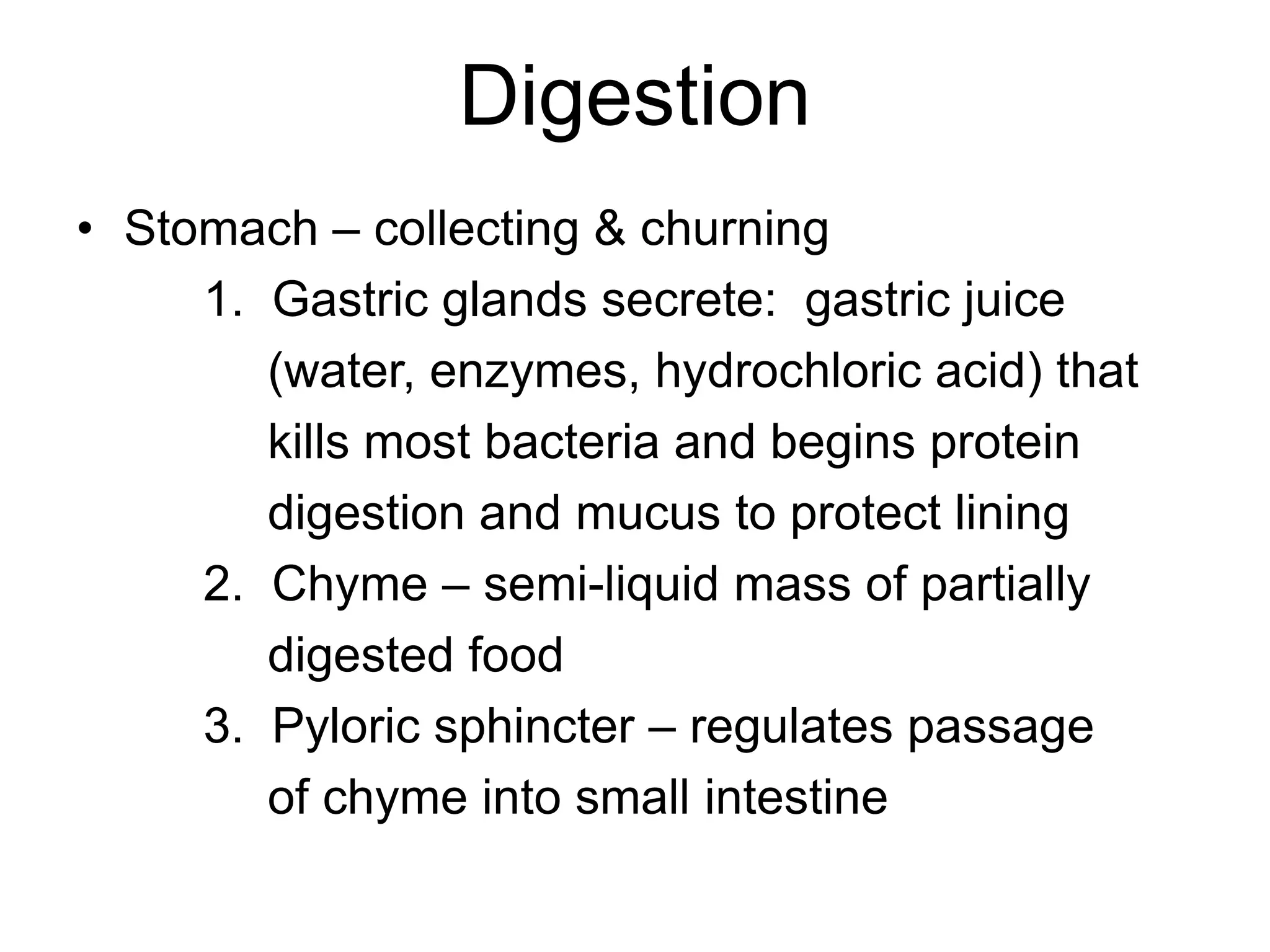 Digestion
• Stomach – collecting & churning
1. Gastric glands secrete: gastric juice
(water, enzymes, hydrochloric acid) that
kills most bacteria and begins protein
digestion and mucus to protect lining
2. Chyme – semi-liquid mass of partially
digested food
3. Pyloric sphincter – regulates passage
of chyme into small intestine
 