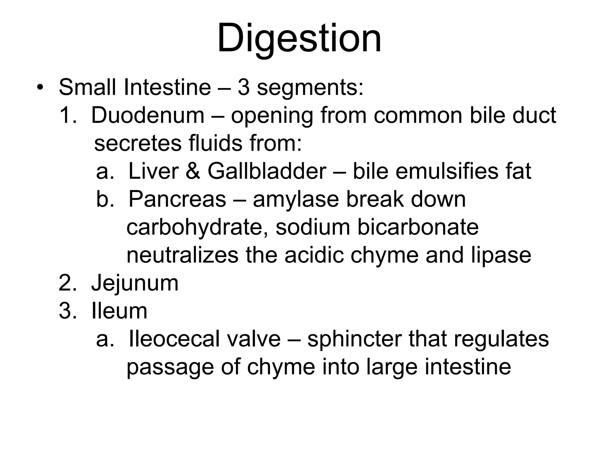 Digestion
• Small Intestine – 3 segments:
1. Duodenum – opening from common bile duct
secretes fluids from:
a. Liver & Gallbladder – bile emulsifies fat
b. Pancreas – amylase break down
carbohydrate, sodium bicarbonate
neutralizes the acidic chyme and lipase
2. Jejunum
3. Ileum
a. Ileocecal valve – sphincter that regulates
passage of chyme into large intestine
 
