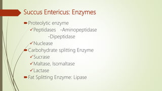Succus Entericus: Enzymes
Proteolytic enzyme
Peptidases -Aminopeptidase
-Dipeptidase
Nuclease
Carbohydrate splitting Enzyme
Sucrase
Maltase, Isomaltase
Lactase
Fat Splitting Enzyme: Lipase
 