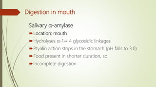 Digestion in mouth
Salivary α-amylase
Location: mouth
Hydrolyses α-1→ 4 glycosidic linkages
Ptyalin action stops in the stomach (pH falls to 3.0)
Food present in shorter duration, so
Incomplete digestion
 