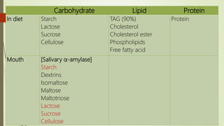 Carbohydrate Lipid Protein
In diet Starch
Lactose
Sucrose
Cellulose
TAG (90%)
Cholesterol
Cholesterol ester
Phospholipids
Free fatty acid
Protein
Mouth [Salivary α-amylase]
Starch
Dextrins
Isomaltose
Maltose
Maltotriose
Lactose
Sucrose
Cellulose
 