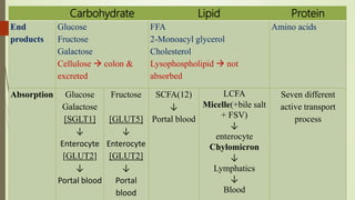 Carbohydrate Lipid Protein
End
products
Glucose
Fructose
Galactose
Cellulose  colon &
excreted
FFA
2-Monoacyl glycerol
Cholesterol
Lysophospholipid  not
absorbed
Amino acids
Absorption Glucose
Galactose
[SGLT1]
↓
Enterocyte
[GLUT2]
↓
Portal blood
Fructose
[GLUT5]
↓
Enterocyte
[GLUT2]
↓
Portal
blood
SCFA(12)
↓
Portal blood
LCFA
Micelle(+bile salt
+ FSV)
↓
enterocyte
Chylomicron
↓
Lymphatics
↓
Blood
Seven different
active transport
process
 