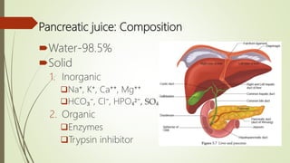 Pancreatic juice: Composition
Water-98.5%
Solid
1. Inorganic
Na⁺, K⁺, Ca⁺⁺, Mg⁺⁺
HCO₃⁻, Cl⁻, HPO₄²⁻, SO₄²⁻
2. Organic
Enzymes
Trypsin inhibitor
 