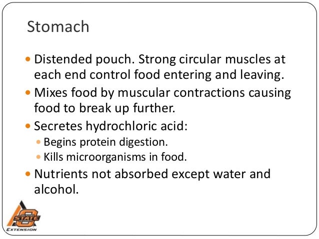units long of 6 alcohol process to how absorption metabolism Digestion, and units long of 6 alcohol process to how absorption metabolism Digestion, and