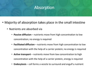 Digestion, absorption and transport of food