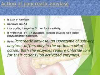 Action of pancreatic amylase 
 It is an α- Amylase 
 Optimum pH=7.1 
 Like ptylin, it requires Cl− ion for its activity. 
 It hydrolyses α-1→ 4 glycosidic linkages situated well inside 
polysaccharide molecules. 
 Note: Pancreatic amylase, an isoenzyme of salivary 
amylase, differs only in the optimum pH of 
action. Both the enzymes require Chloride ions 
for their actions (Ion activated enzymes). 
 
