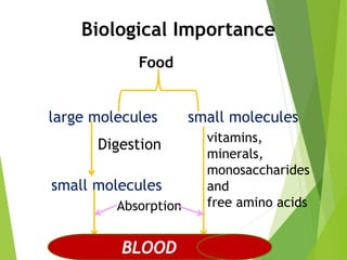 Biological Importance 
Food 
large molecules small molecules 
Digestion 
small molecules 
Absorption 
vitamins, 
minerals, 
monosaccharides 
and 
free amino acids 
BLOOD 
 