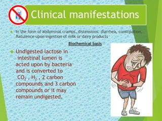 Clinical manifestations 
 In the form of abdominal cramps, distensions, diarrhea, constipation, 
flatulence upon ingestion of milk or dairy products 
Biochemical basis 
 Undigested lactose in 
intestinal lumen is 
acted upon by bacteria 
and is converted to 
CO2 , H2 , 2 carbon 
compounds and 3 carbon 
compounds or it may 
remain undigested. 
 