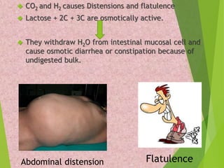  CO2 and H2 causes Distensions and flatulence 
 Lactose + 2C + 3C are osmotically active. 
 They withdraw H2O from intestinal mucosal cell and 
cause osmotic diarrhea or constipation because of 
undigested bulk. 
Abdominal distension Flatulence 
 