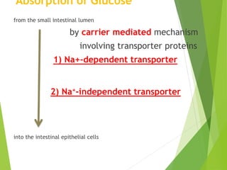 Absorption of Glucose 
from the small intestinal lumen 
by carrier mediated mechanism 
involving transporter proteins 
1) Na+-dependent transporter 
by secondary active transport 
and to a less extent by 
2) Na+-independent transporter 
by passive transport 
into the intestinal epithelial cells 
 
