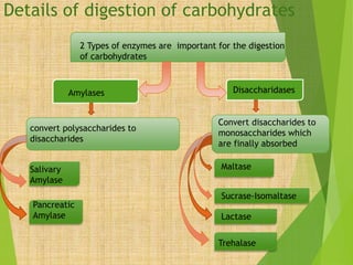 Details of digestion of carbohydrates 
2 Types of enzymes are important for the digestion 
of carbohydrates 
Amylases Disaccharidases 
convert polysaccharides to 
disaccharides 
Salivary 
Amylase 
Pancreatic 
Amylase 
Convert disaccharides to 
monosaccharides which 
are finally absorbed 
Maltase 
Sucrase-Isomaltase 
Lactase 
Trehalase 
 