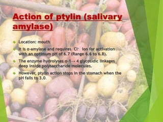 Action of ptylin (salivary 
amylase) 
 Location: mouth 
 It is α-amylase and requires Cl− ion for activation 
with an optimum pH of 6.7 (Range 6.6 to 6.8). 
 The enzyme hydrolyses α-1→ 4 glycosidic linkages 
deep inside polysaccharide molecules. 
 However, ptylin action stops in the stomach when the 
pH falls to 3.0. 
 