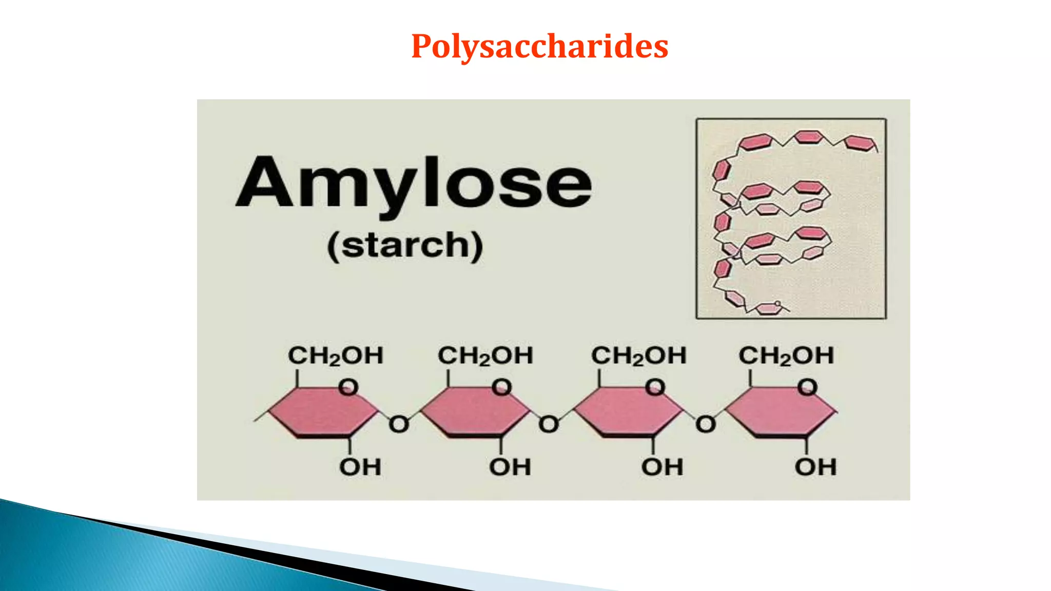 Polysaccharides
 