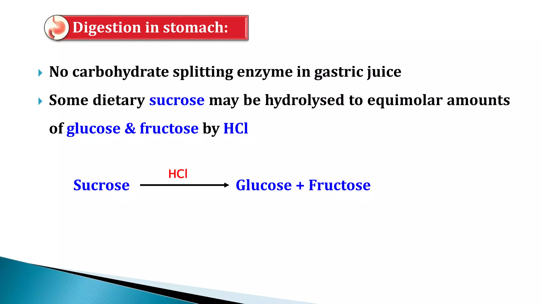  No carbohydrate splitting enzyme in gastric juice
 Some dietary sucrose may be hydrolysed to equimolar amounts
of glucose & fructose by HCl
Sucrose Glucose + Fructose
Digestion in stomach:
HCl
 