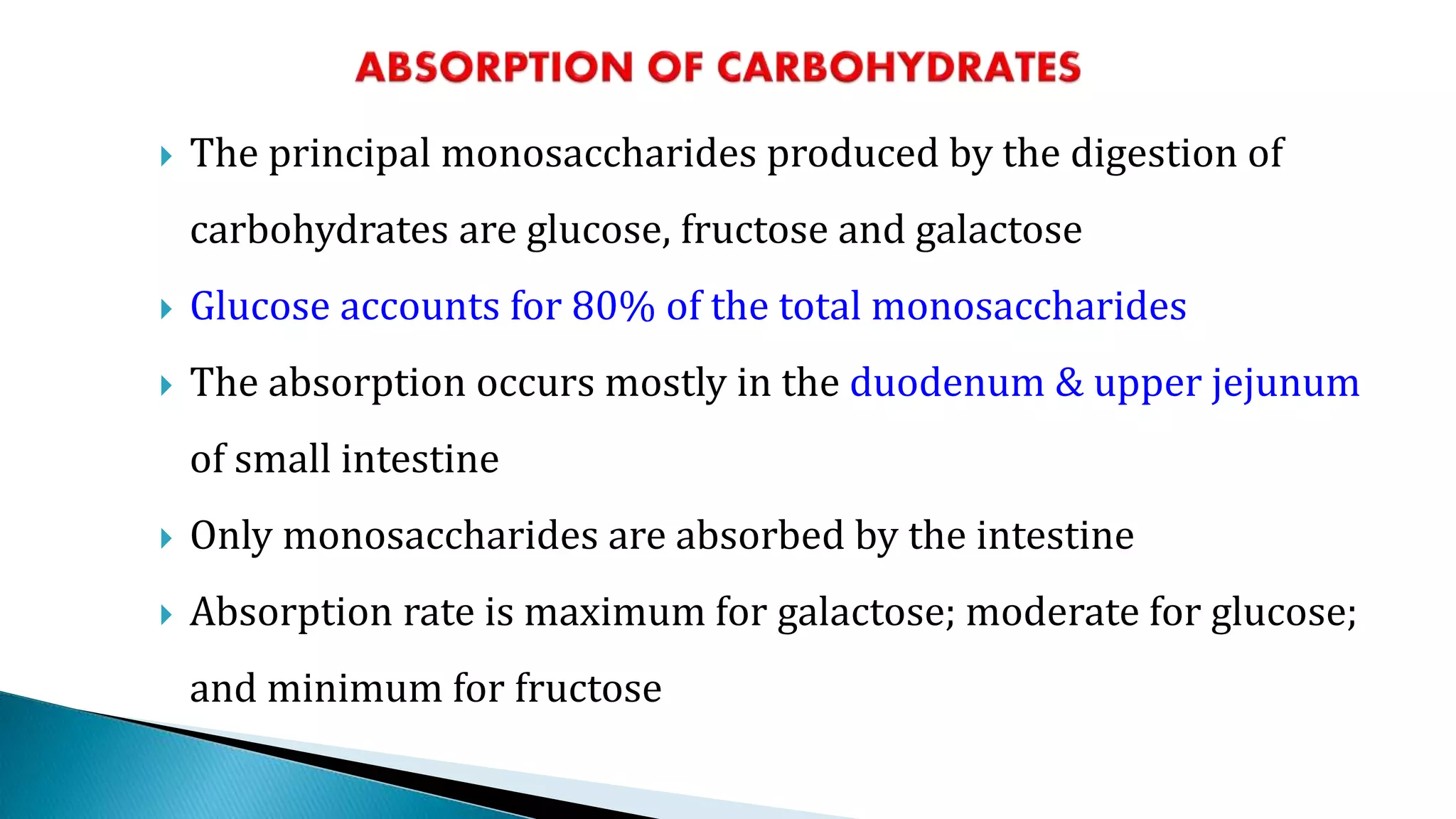  The principal monosaccharides produced by the digestion of
carbohydrates are glucose, fructose and galactose
 Glucose accounts for 80% of the total monosaccharides
 The absorption occurs mostly in the duodenum & upper jejunum
of small intestine
 Only monosaccharides are absorbed by the intestine
 Absorption rate is maximum for galactose; moderate for glucose;
and minimum for fructose
 