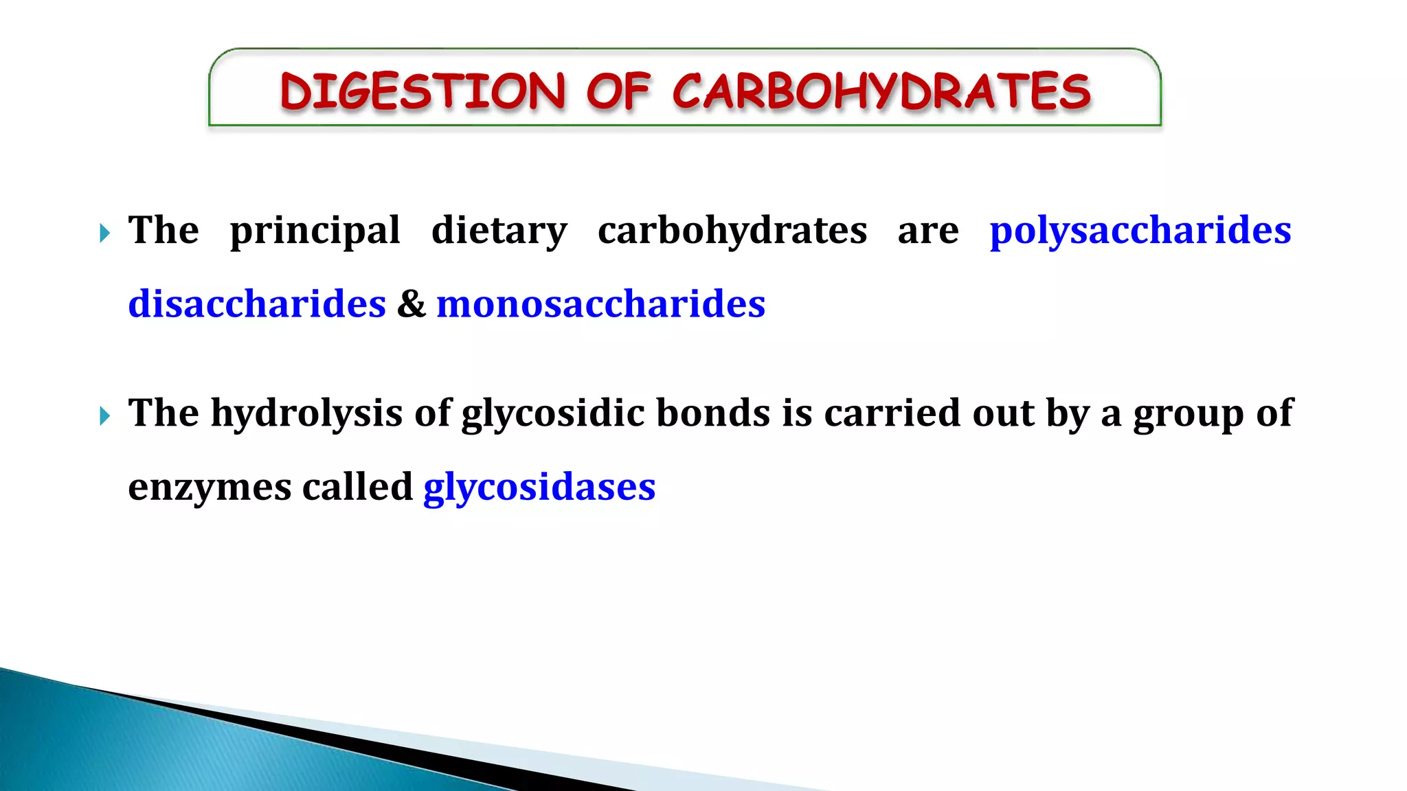 The principal dietary carbohydrates are polysaccharides
disaccharides & monosaccharides
 The hydrolysis of glycosidic bonds is carried out by a group of
enzymes called glycosidases
 