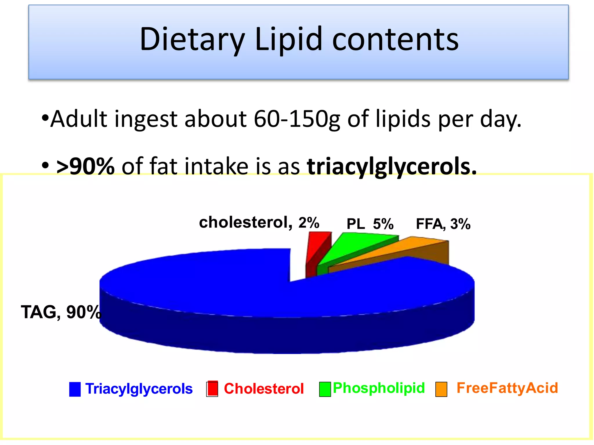 FFA, 3%PL 5%cholesterol, 2%
TAG, 90%
Dietary Lipid contents
Triacylglycerols Cholesterol Phospholipid FreeFattyAcid
•Adult ingest about 60-150g of lipids per day.
• >90% of fat intake is as triacylglycerols.
 