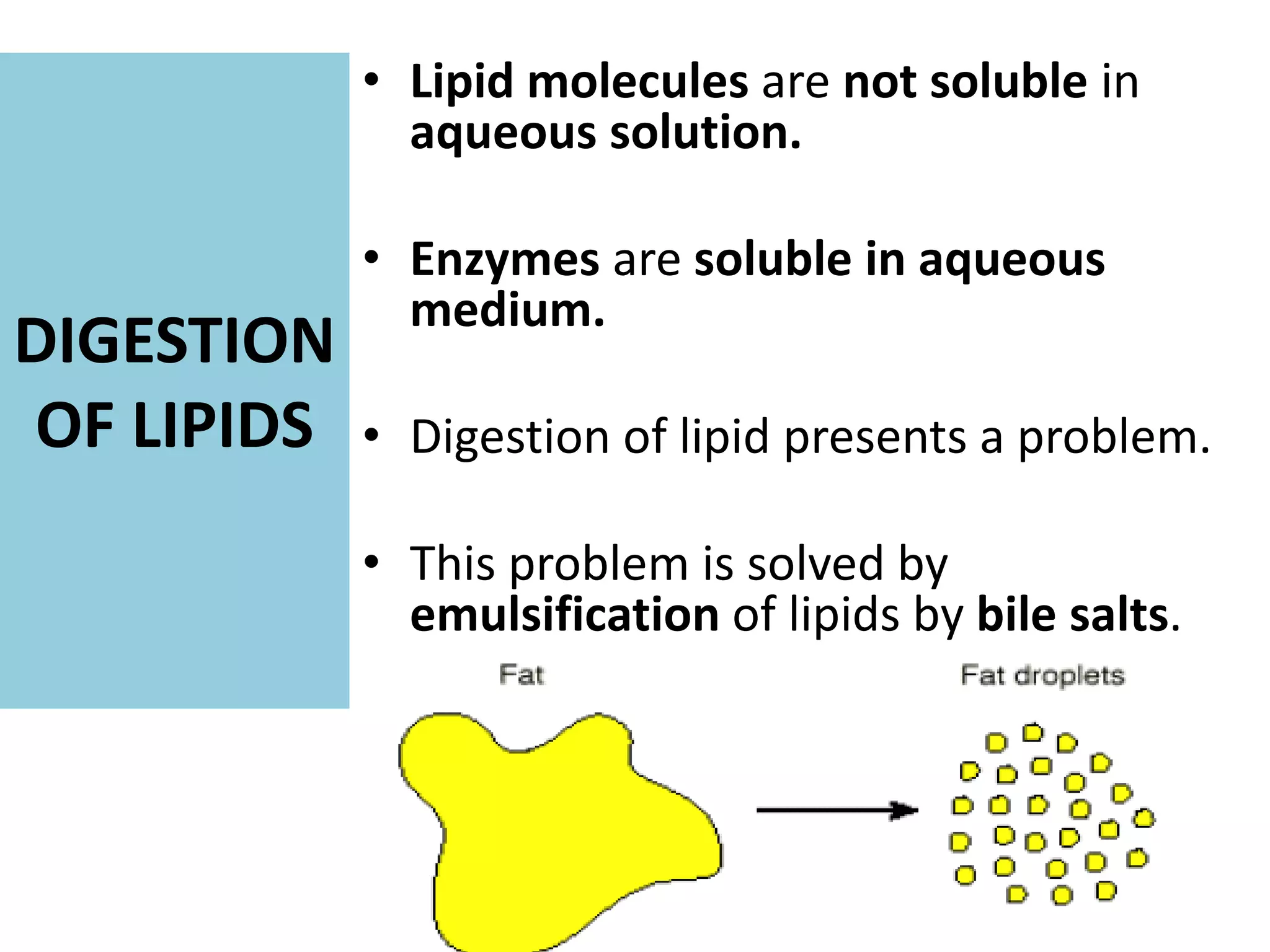 DIGESTION
OF LIPIDS
• Lipid molecules are not soluble in
aqueous solution.
• Enzymes are soluble in aqueous
medium.
• Digestion of lipid presents a problem.
• This problem is solved by
emulsification of lipids by bile salts.
 