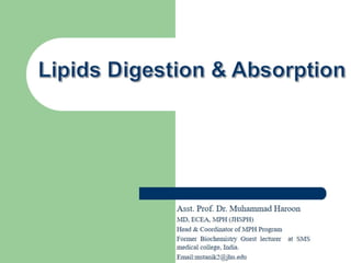 Digestion and absorption of lipids (Biochemistry)