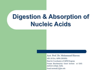 Digestion and Absorption of nucleic acids (Biochemistry)