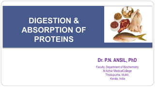 Dr. P.N. ANSIL, PhD
Faculty, Department of Biochemistry
Al Azhar MedicalCollege
Thodupuzha, Idukki,
Kerala, India
DIGESTION &
ABSORPTION OF
PROTEINS
 