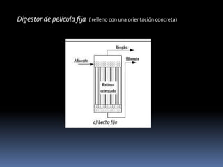Microorganismos que intervienen en los procesos1. Hidrólisis: predominan bacterias Gram+ incluidas en los géneros ClostridiumyStaphyloccocus, y BacteroidesGram-.2. Acidogénesis: a) Fermentación: predominan bacterias Gram + del ácido láctico y relacionadas:Lactobacillus, Streptoccocus, Staphylococcus, Microccocus; Gram -:Escherichia, Salmonella, Veillonelay reductoras de sulfato.  b) ß-oxidación: Clostridium, Syntrophomonas3. Acetogénesis: sintrofobacterias tales como Syntrophobacterwoliniiy S. wolfei4. Metanogénesis:a) Hidrogenotrófica: Methanobacterium, Methanobrevibacterb) Hidrogenoclástica: Methanosarcinay Methanosaeta(antesMethanotrix)
