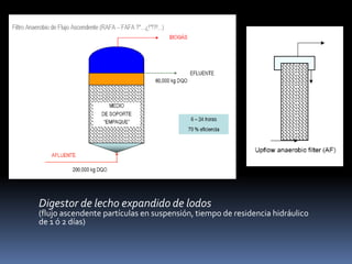 TIPOS DE REACTORESDigestor de contacto (altas cargas de biomasa, alto rendimiento, tiempo de residencia alto, residuos industrias agroalimentarias) Digestor de filtro no orientado (relleno inerte adherida, biomasa)Digestor de dos fases ( permite ajustar independientemente dos fases hidrólisis  acidogénica  metanogénica )