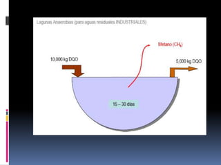 Digestor de mezcla completa (continuo agitación, calentamiento, 10-30 días, residuos ganaderos, lodos de depuradora)