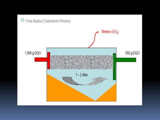 Digestor de flujo de pistón (geometría de flujo horizontal, canales en el terreno )