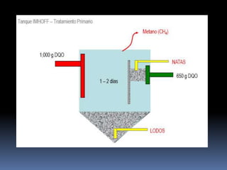 Digestor de película fija ( relleno con una orientación concreta)