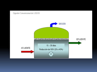 Digestor de lecho fluidizado o fluido (relleno de arena fina)