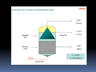 Digestor de lecho expandido de lodos (flujo ascendente partículas en suspensión, tiempo de residencia hidráulico de 1 ó 2 días)