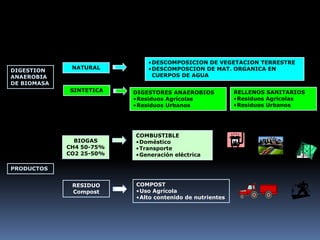 DESCOMPOSICION DE VEGETACION TERRESTRE
