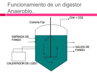 Funcionamiento de un digestor
Anaerobio.

 