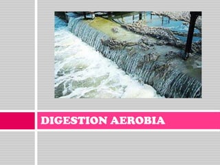 DIGESTION AEROBIA

 
