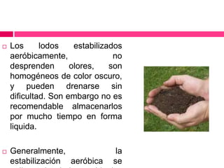 

Los
lodos
estabilizados
aeróbicamente,
no
desprenden
olores,
son
homogéneos de color oscuro,
y pueden drenarse sin
dificultad. Son embargo no es
recomendable almacenarlos
por mucho tiempo en forma
liquida.



Generalmente,
estabilización aeróbica

la
se

 