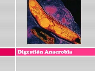 Digestión Anaerobia

 