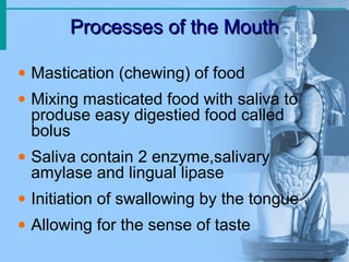 Processes of the MouthProcesses of the Mouth
• Mastication (chewing) of food
• Mixing masticated food with saliva to
produse easy digestied food called
bolus
• Saliva contain 2 enzyme,salivary
amylase and lingual lipase
• Initiation of swallowing by the tongue
• Allowing for the sense of taste
 