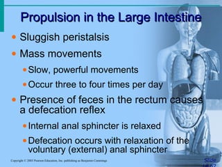 Propulsion in the Large IntestinePropulsion in the Large Intestine
SlideCopyright © 2003 Pearson Education, Inc. publishing as Benjamin Cummings
• Sluggish peristalsis
• Mass movements
•Slow, powerful movements
•Occur three to four times per day
• Presence of feces in the rectum causes
a defecation reflex
•Internal anal sphincter is relaxed
•Defecation occurs with relaxation of the
voluntary (external) anal sphincter
 