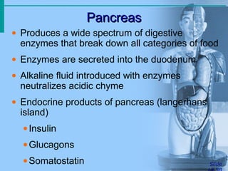 PancreasPancreas
Slide
• Produces a wide spectrum of digestive
enzymes that break down all categories of food
• Enzymes are secreted into the duodenum
• Alkaline fluid introduced with enzymes
neutralizes acidic chyme
• Endocrine products of pancreas (langerhans
island)
•Insulin
•Glucagons
•Somatostatin
 
