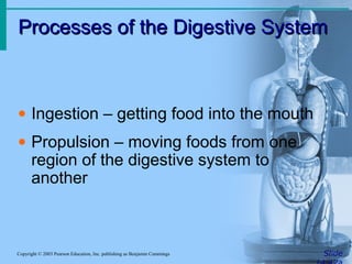 Processes of the Digestive SystemProcesses of the Digestive System
SlideCopyright © 2003 Pearson Education, Inc. publishing as Benjamin Cummings
• Ingestion – getting food into the mouth
• Propulsion – moving foods from one
region of the digestive system to
another
 