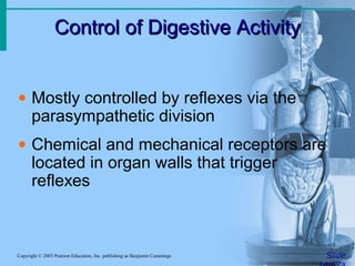 Control of Digestive ActivityControl of Digestive Activity
SlideCopyright © 2003 Pearson Education, Inc. publishing as Benjamin Cummings
• Mostly controlled by reflexes via the
parasympathetic division
• Chemical and mechanical receptors are
located in organ walls that trigger
reflexes
 