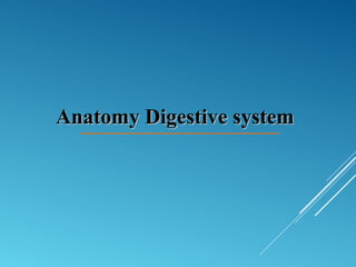 Anatomy Digestive systemAnatomy Digestive system
 