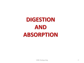 DIGESTION
AND
ABSORPTION
•1
•HSE Zoology blog
 