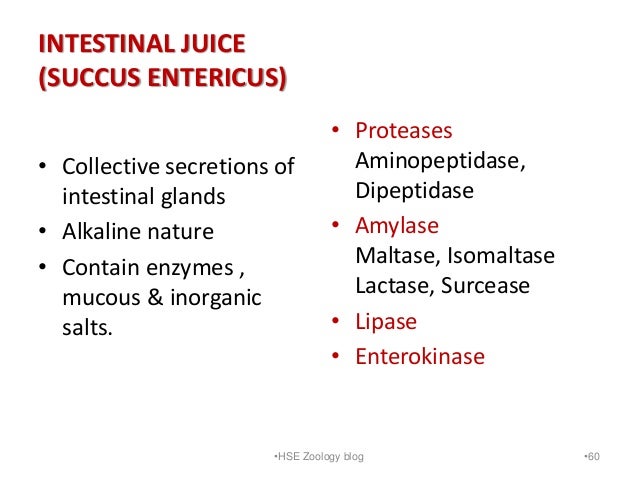 Digestion and absorption